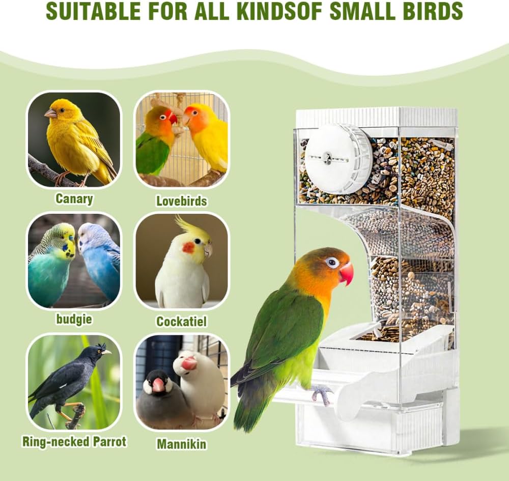 Automatic Bird Feeder for Parakeets, Cockatiels & Canaries with Convenient Seed Catcher Tray Yellow - Image 6