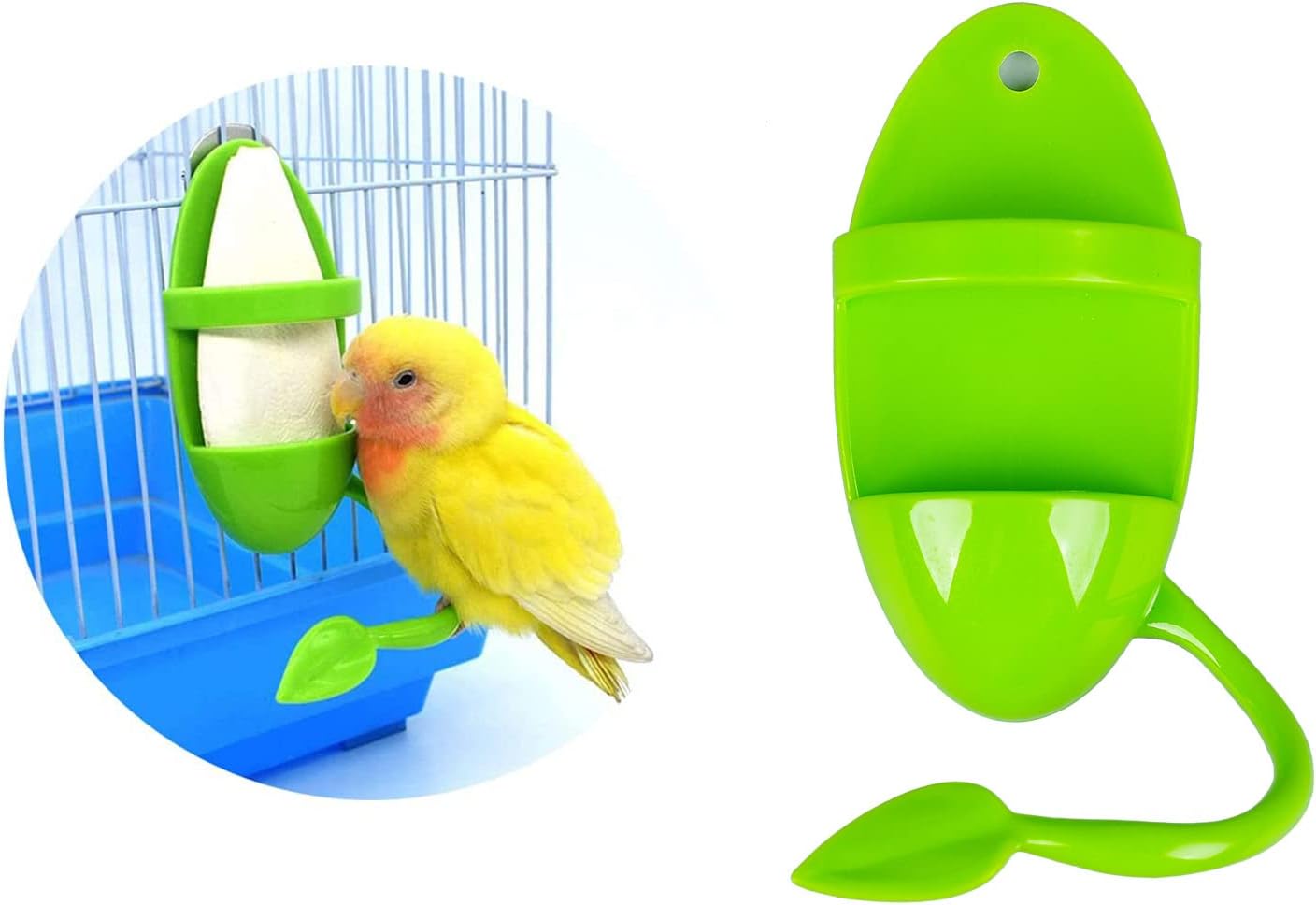 2 Pack Bird Feeder Perch - Suitable for Sepia Fruit and Snacks - Natural Resting Stick - Image 3