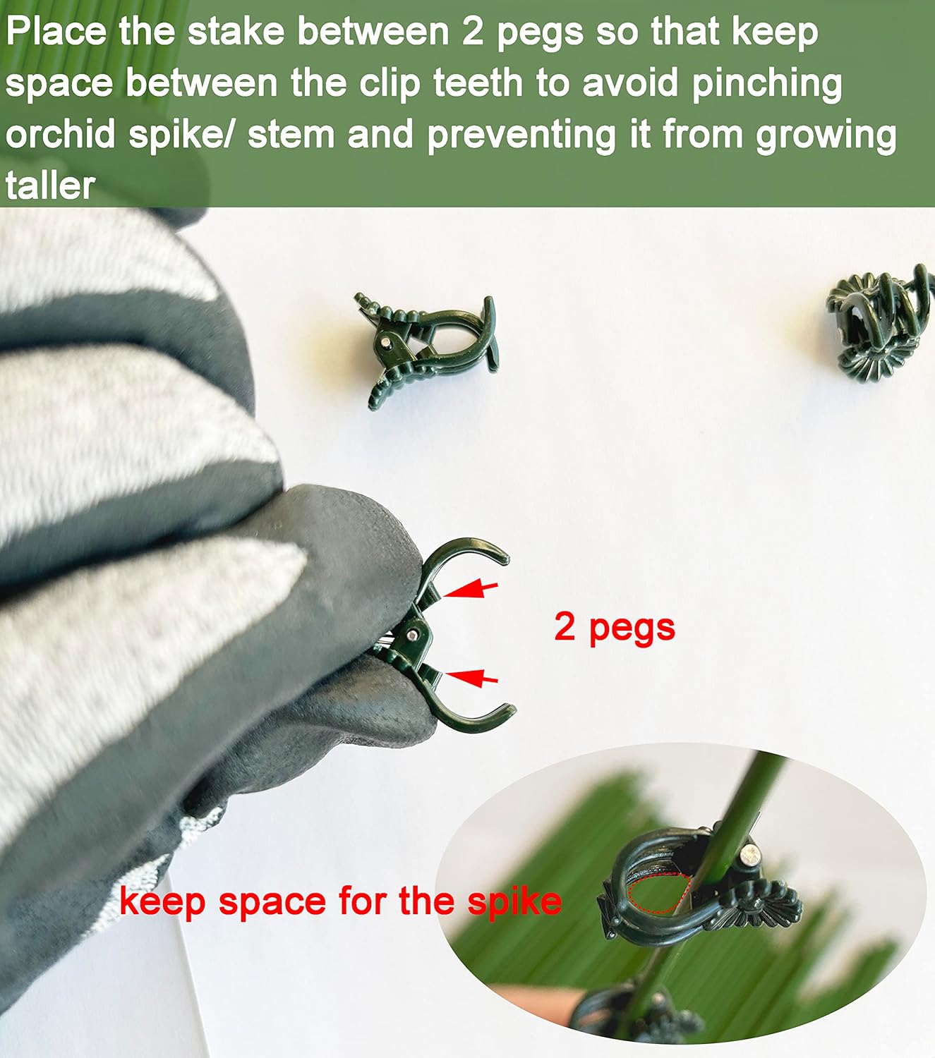 40 Reusable Plant Support Clips - Garden Tool for Supporting and Guiding Plants and Flowers - Image 3