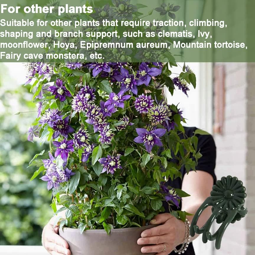 40 Reusable Plant Support Clips - Garden Tool for Supporting and Guiding Plants and Flowers - Image 4