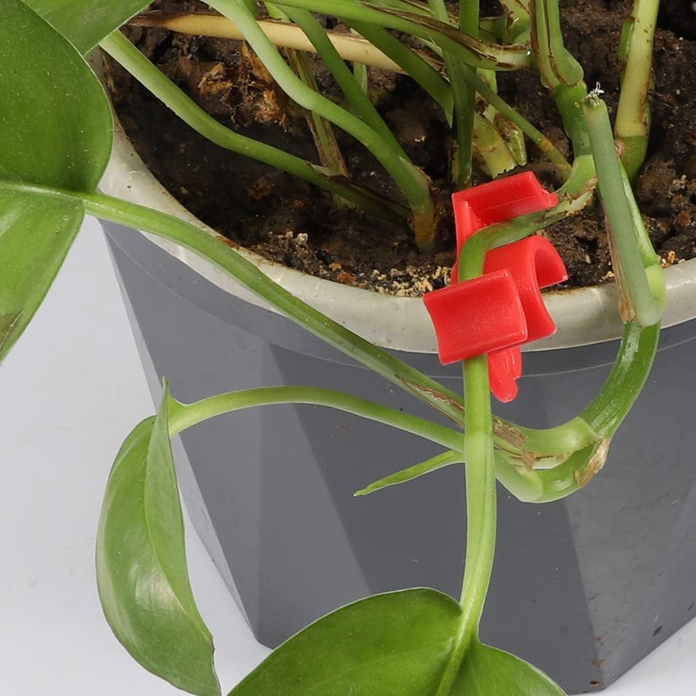 40 Pcs 90 Degree Plant Trainers Reusable Support Clips for Tomatoes Fruit Trees Greenhouse Use Red - Image 6