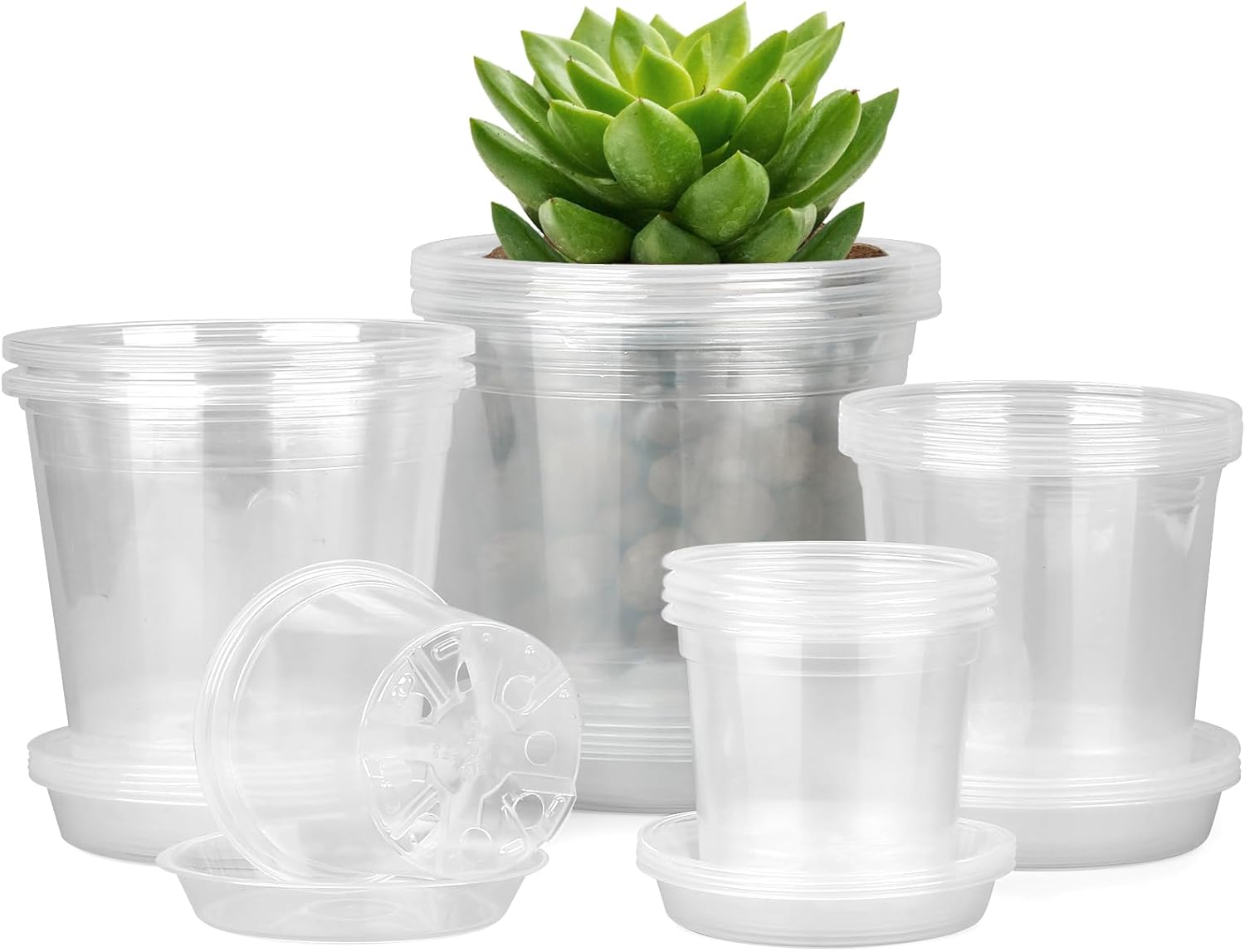 20-Pack Clear Plant Pots with Trays 4/5/6/7 Inch for Succulents Orchids Cuttings - Image 1