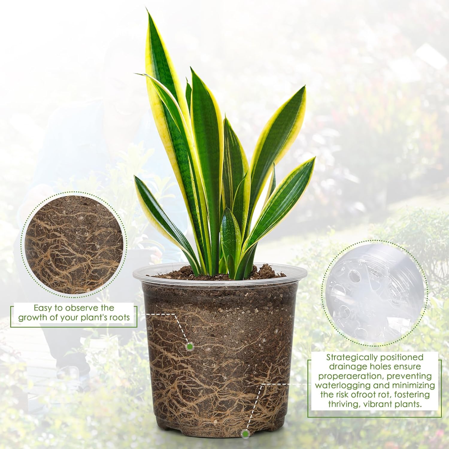 20-Pack Clear Plant Pots with Trays 4/5/6/7 Inch for Succulents Orchids Cuttings - Image 3