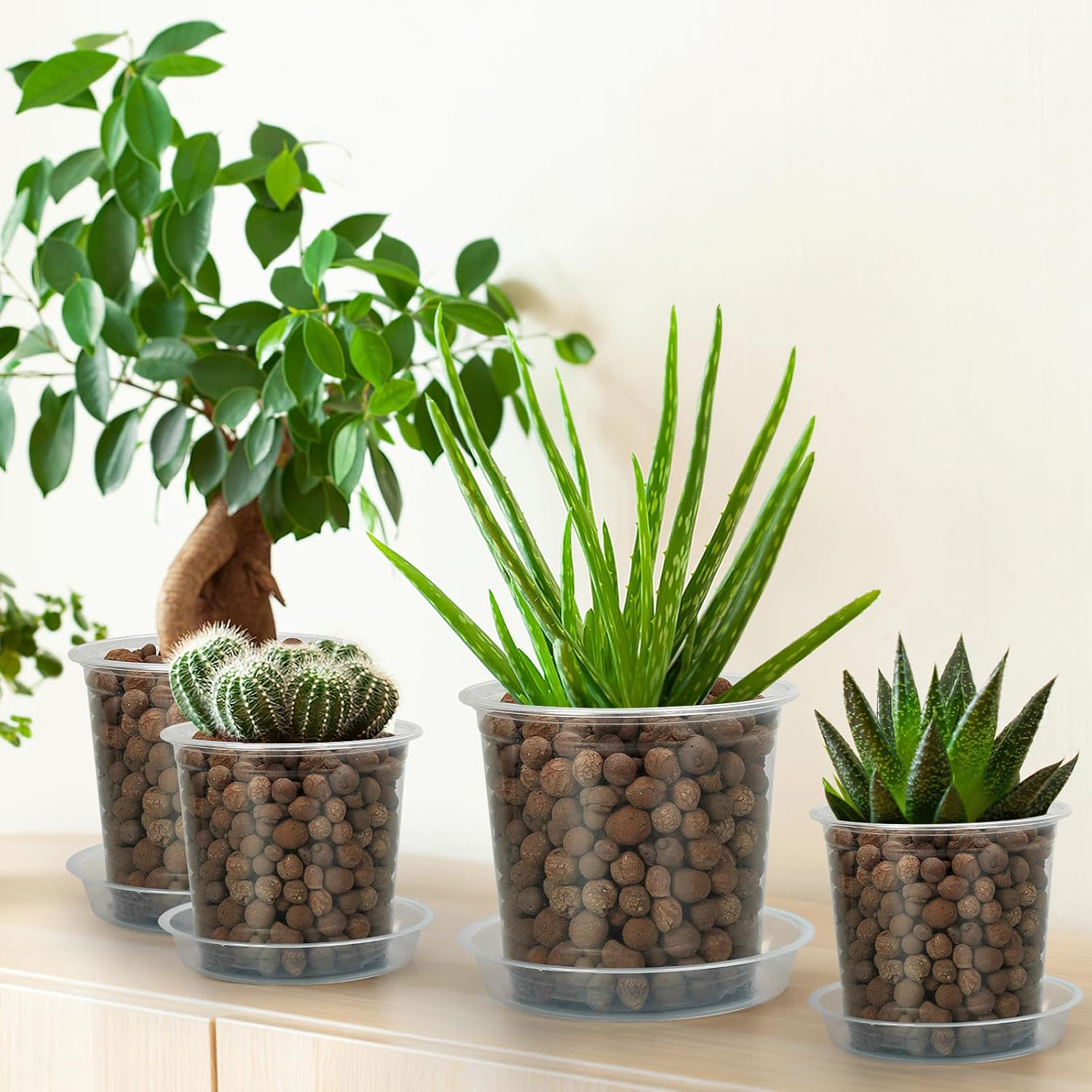 20-Pack Clear Plant Pots with Trays 4/5/6/7 Inch for Succulents Orchids Cuttings - Image 4