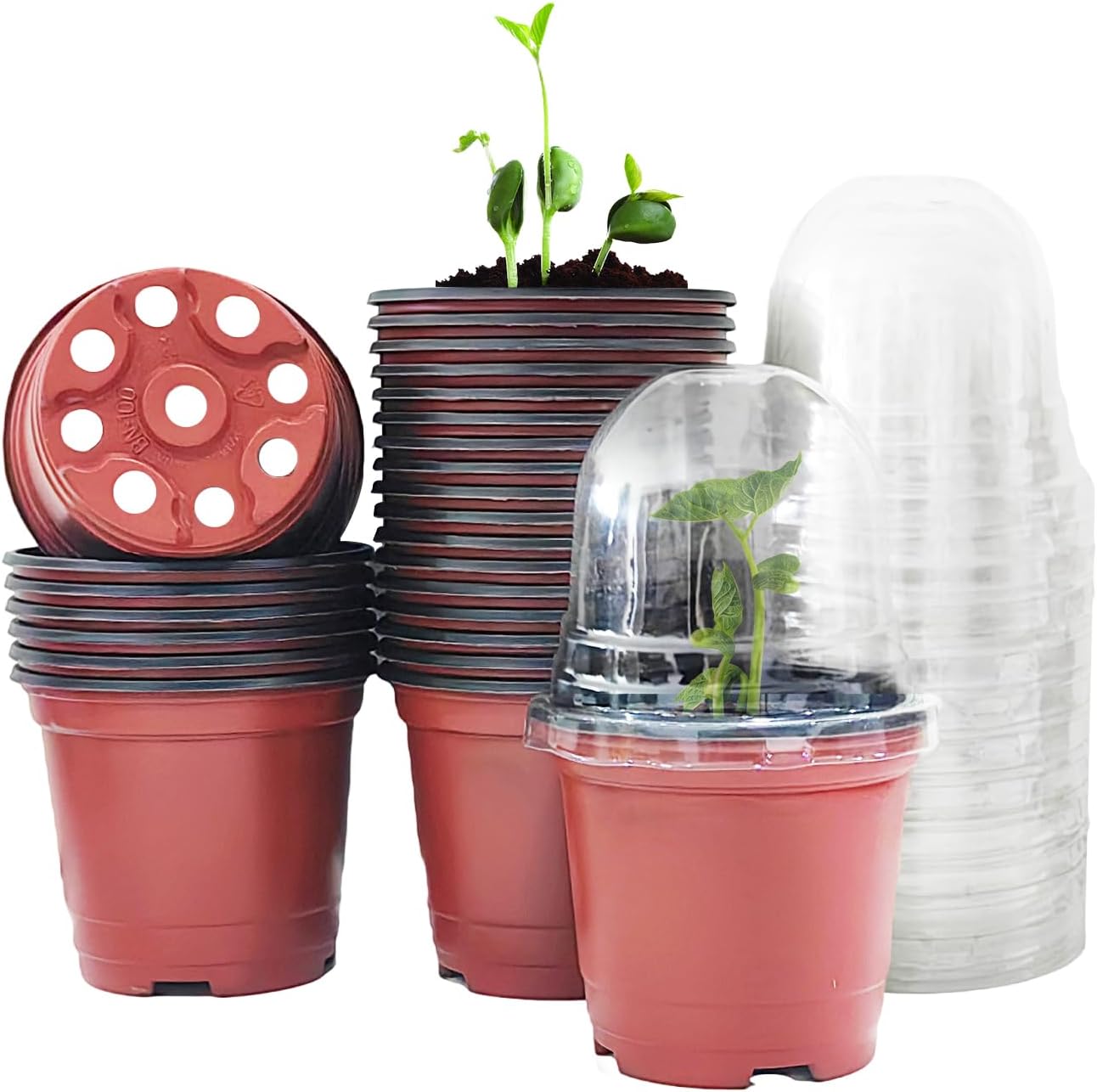 25 Pack Seedling Pots with Lids 9x14cm Reusable Mini Greenhouse Grow Trays for Propagation - Image 1