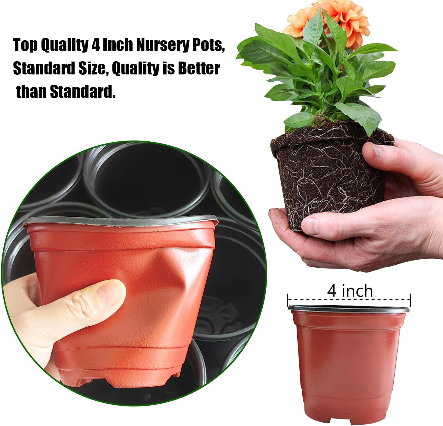 25 Pack Seedling Pots with Lids 9x14cm Reusable Mini Greenhouse Grow Trays for Propagation - Image 4