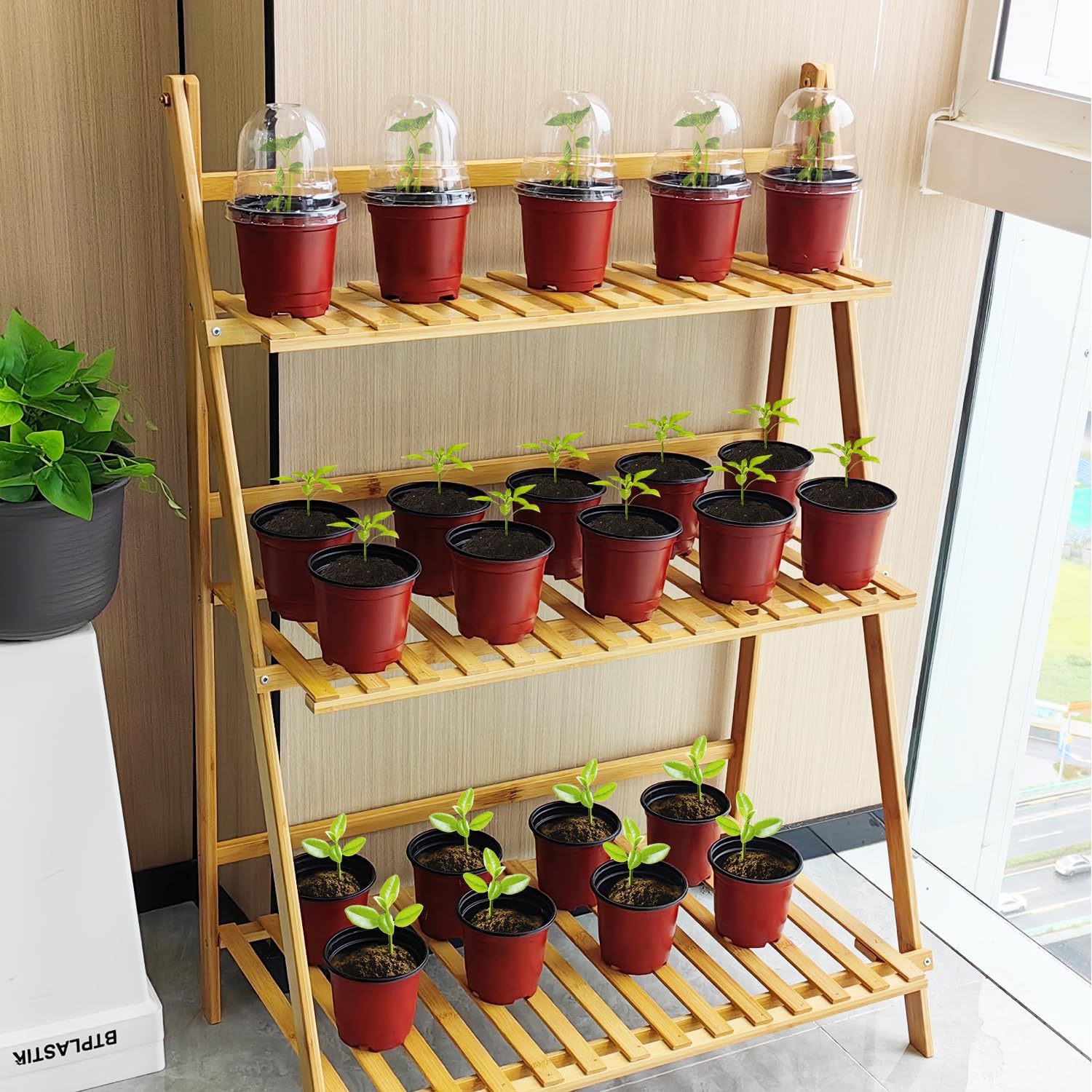 25 Pack Seedling Pots with Lids 9x14cm Reusable Mini Greenhouse Grow Trays for Propagation - Image 5