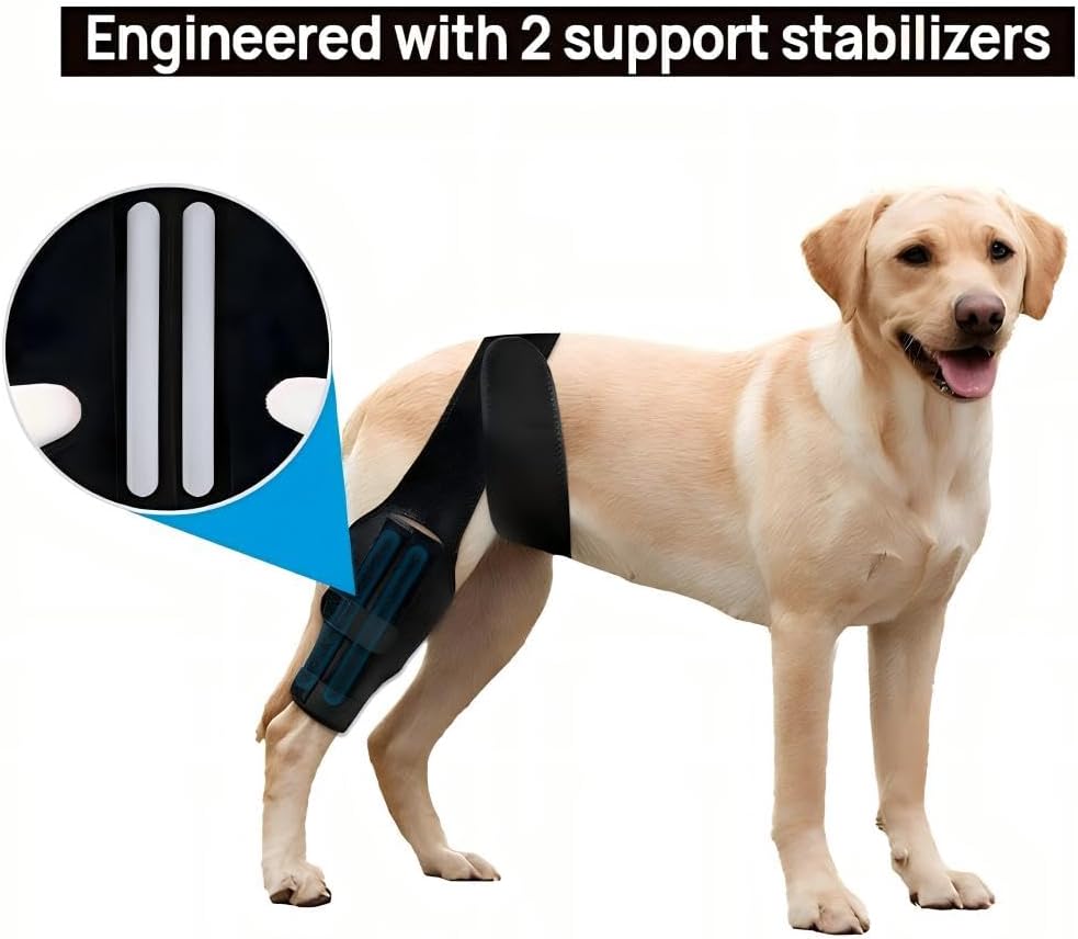 Dog Knee Brace for Torn ACL Hind Leg，Comfortable and Adjustable Support Brace with Two Stabilizer，Dog Leg Braces for Back Leg with Extra Support，Arthritis Relief and Surgery Recovery (S) - Image 1