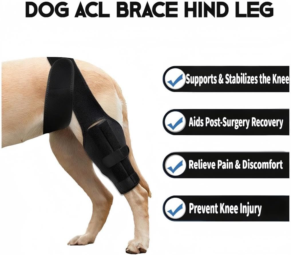Dog Knee Brace for Torn ACL Hind Leg，Comfortable and Adjustable Support Brace with Two Stabilizer，Dog Leg Braces for Back Leg with Extra Support，Arthritis Relief and Surgery Recovery (S) - Image 2
