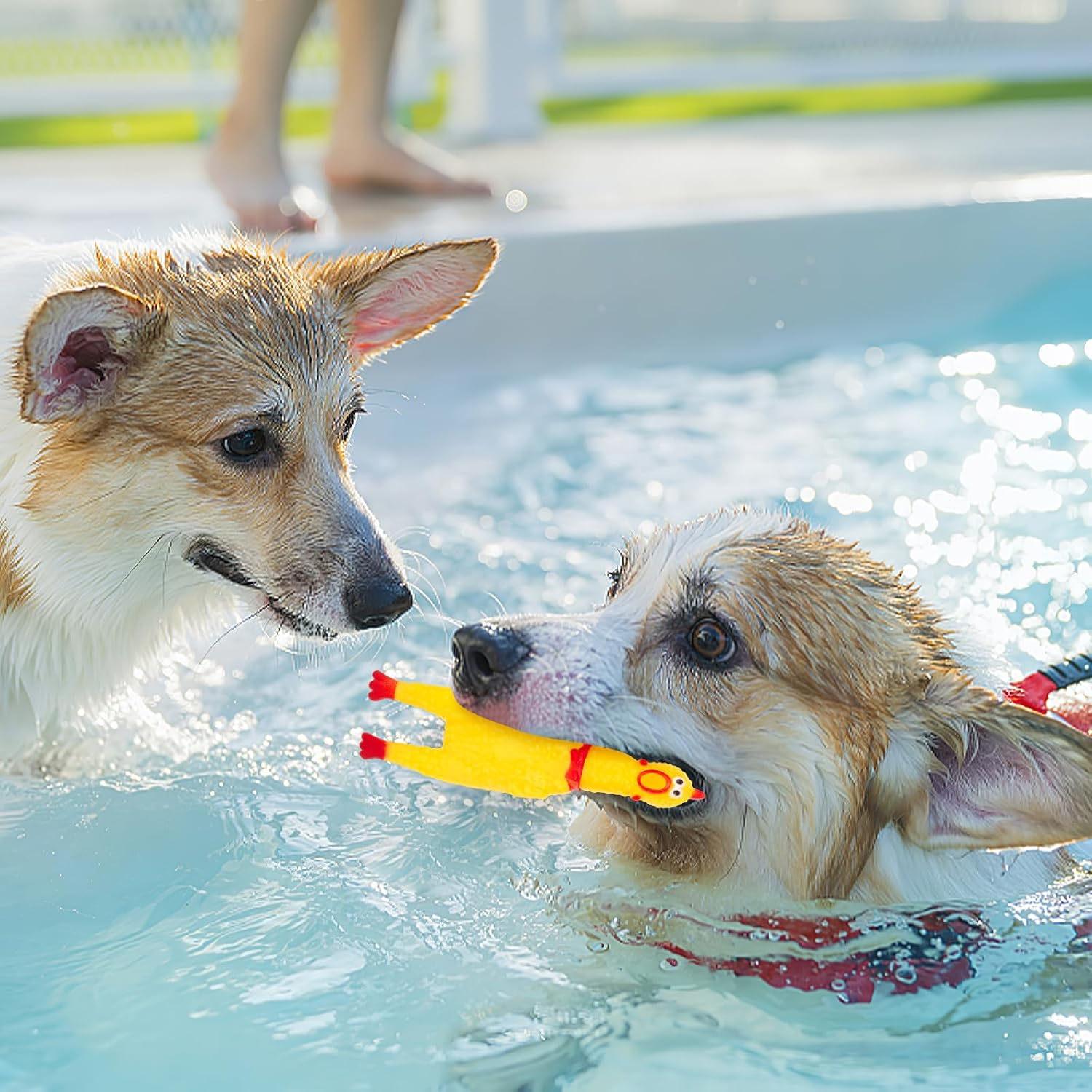 20PCS Squeaky Rubber Chickens, Screaming Chickens Bulk Prank Novelty Toys Pet Toys for Party Favors Family Game Dog Toys Noise Maker - Image 8