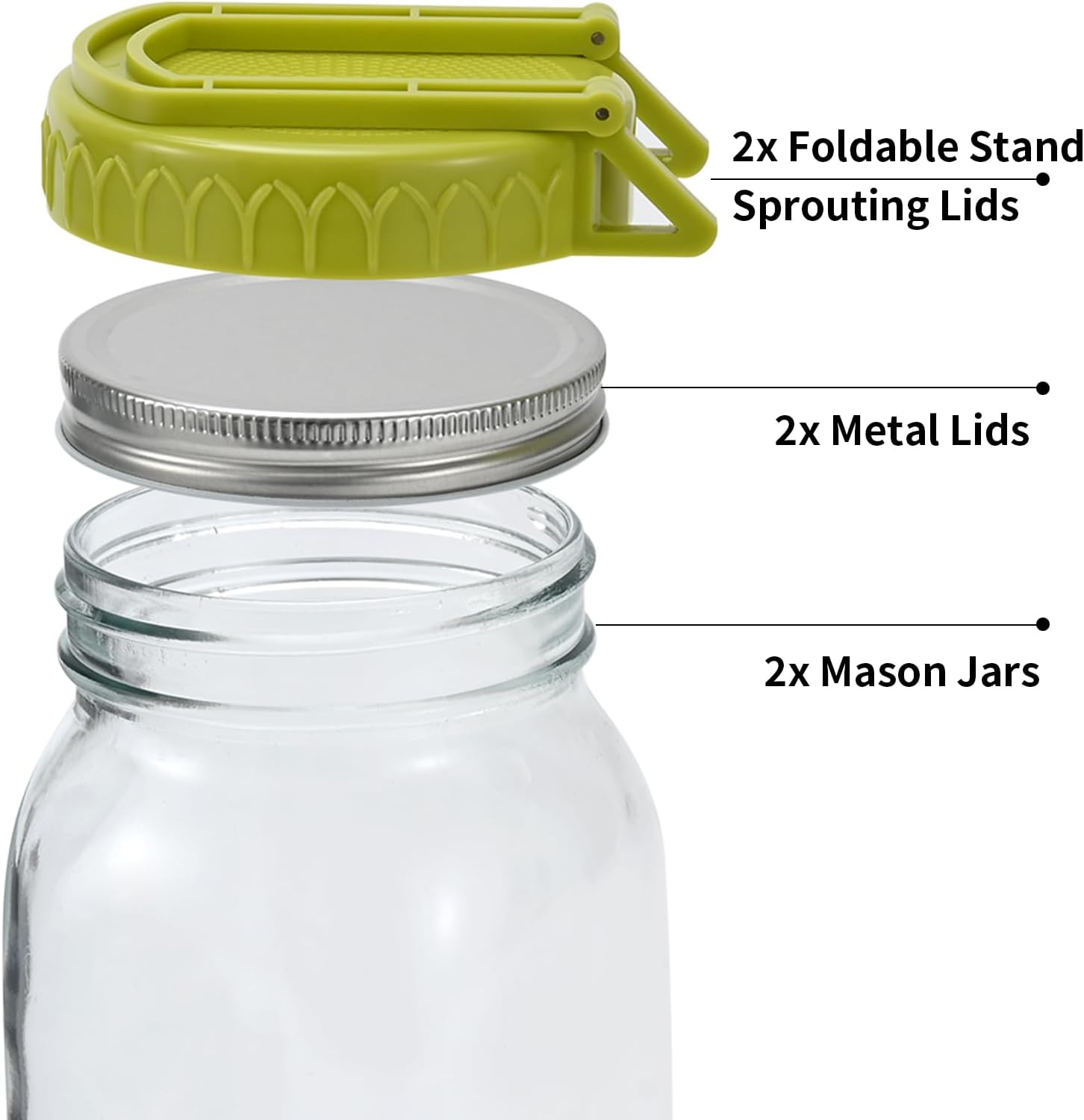 Complete Sprouting Kit - 2 Large Wide-Mouth Mason Jars 32 Oz, 2 Foldalbe Screen Lids with Draining Stand, 2 l Canning Lids, Bean Sprouts Grow Kit for Broccoli alfalfa - Image 2