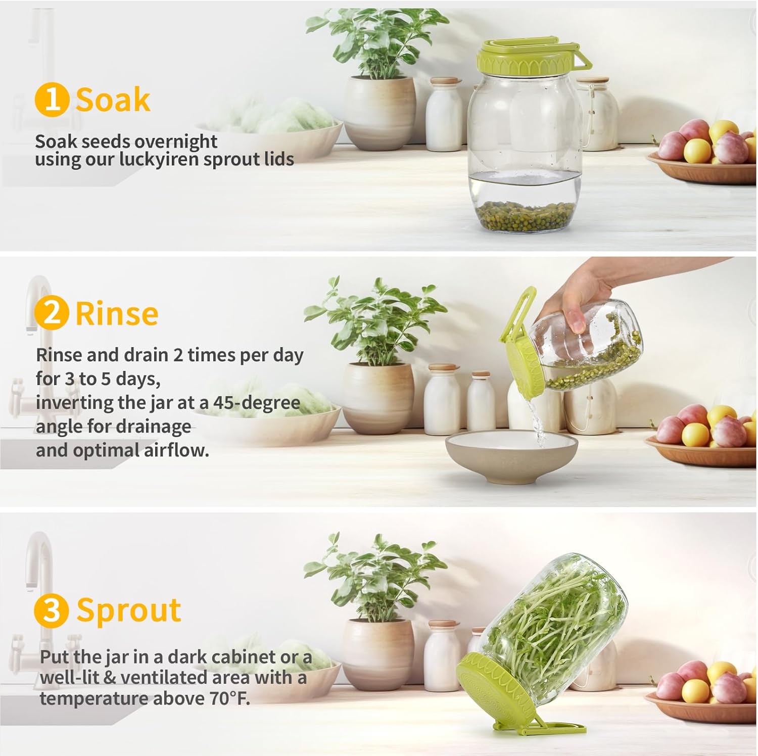 Complete Sprouting Kit - 2 Large Wide-Mouth Mason Jars 32 Oz, 2 Foldalbe Screen Lids with Draining Stand, 2 l Canning Lids, Bean Sprouts Grow Kit for Broccoli alfalfa - Image 8
