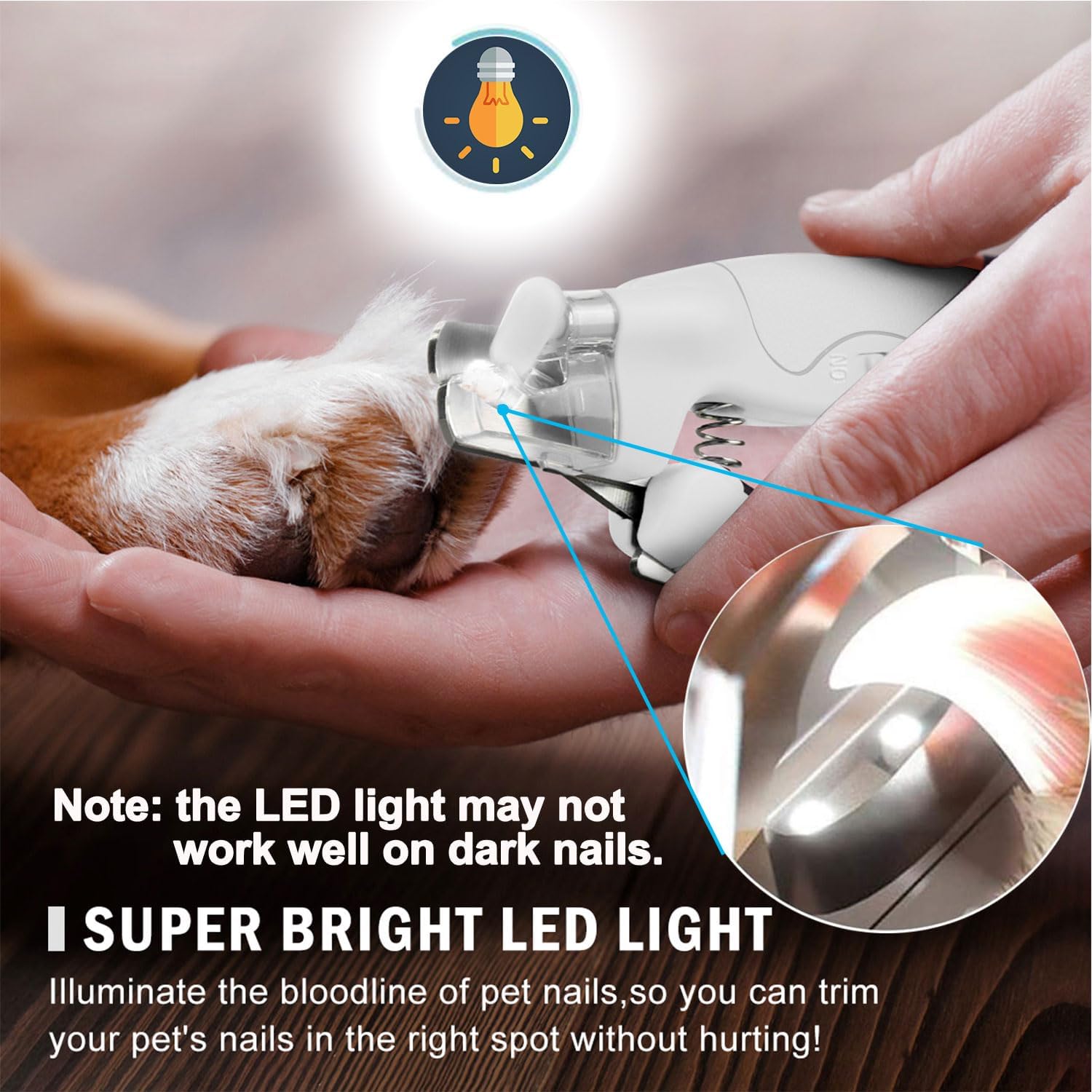 Pet Nail Clipper with LED Light for Dogs & Cats, Rechargeable Nails & Claws Trimmer, Professional Grooming Tool with Nail Trapper & Free Nail File, Quick-Sensor Razor Sharp Blades, White - Image 2