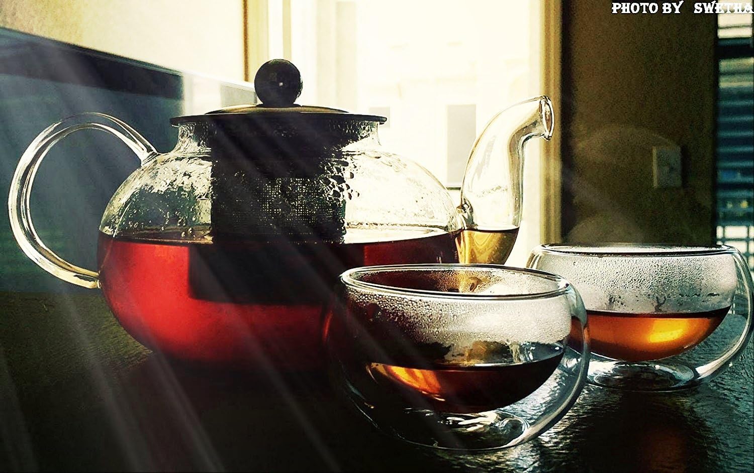 Glass Teapot with Stainless Steel Infuser & Lid, Borosilicate Glass Tea Pot Stovetop Safe, Blooming & Loose Leaf Teapots, 27 Oz - Image 4