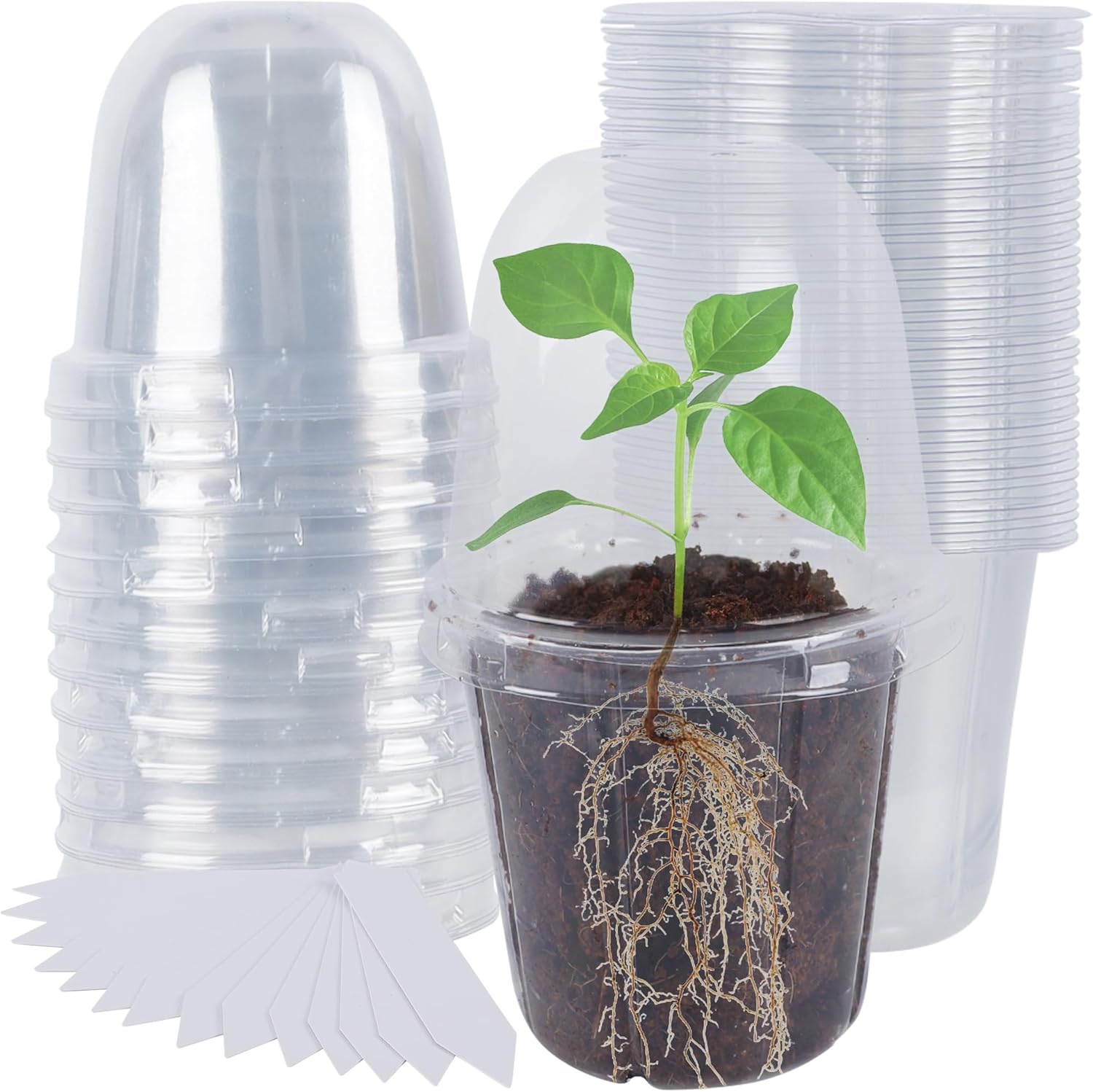 36 Set Nursery Pots with Humidity Dome, Clear Nursery Pots for Plants, Seed Starting Pots with Drainage Holes & Plant Labels for Vegetables Flowers Garden Plants - Image 1