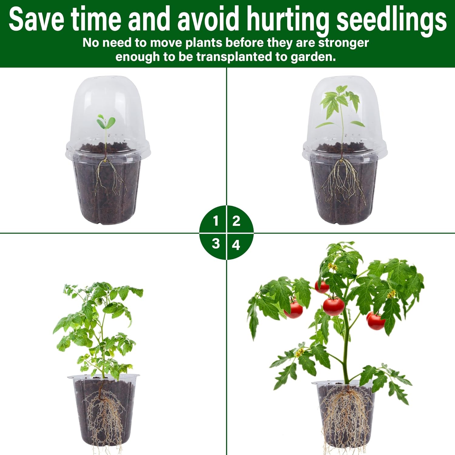 36 Set Nursery Pots with Humidity Dome, Clear Nursery Pots for Plants, Seed Starting Pots with Drainage Holes & Plant Labels for Vegetables Flowers Garden Plants - Image 5