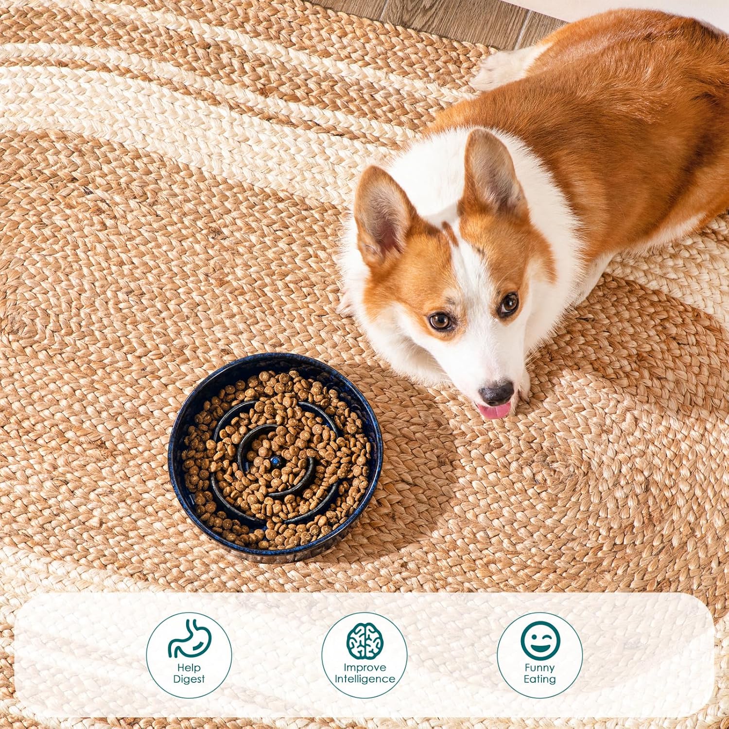 Slow Feeder Dog Bowl, 1.5 Cups Ceramic Slow Feeder for Medium Breed, Puzzle Maze Dog Food Bowl for Fast Eater, Blue - Image 5