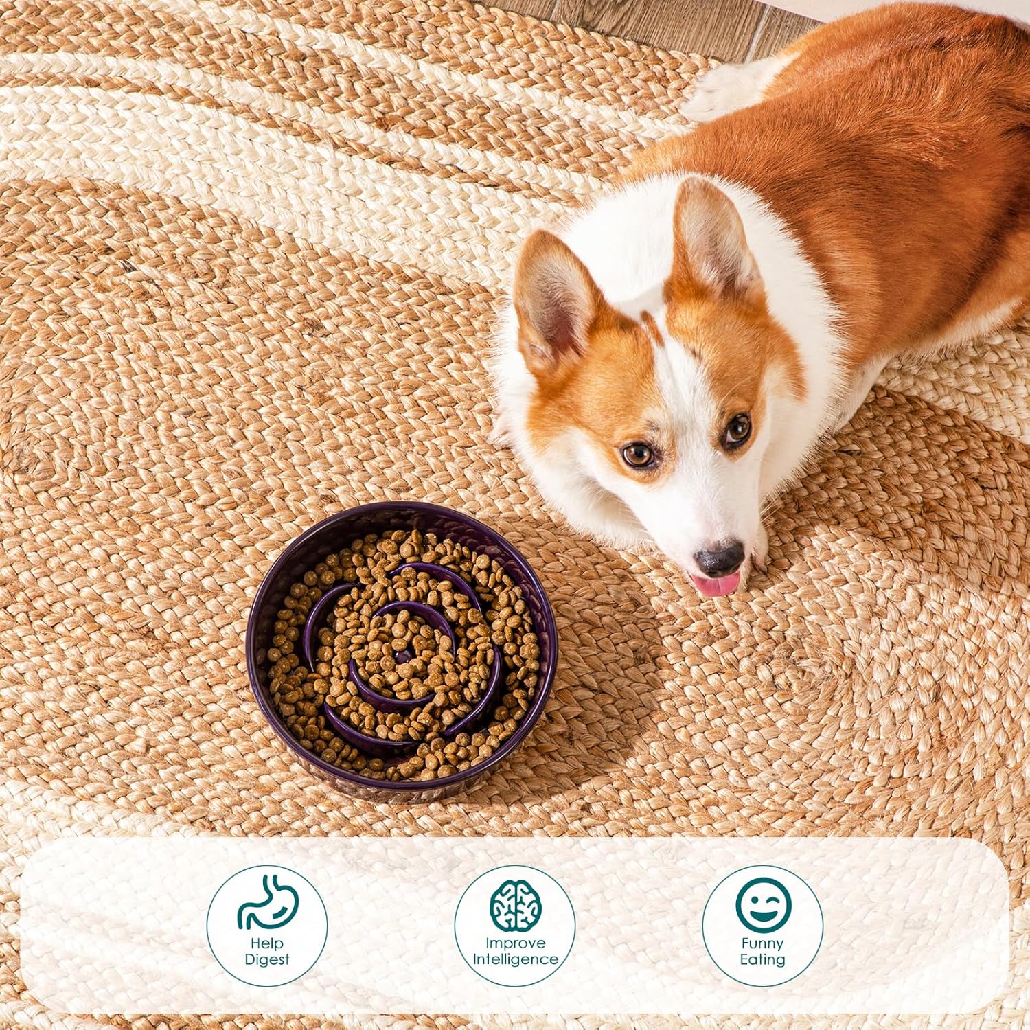 Slow Feeder Dog Bowl, 1.5 Cups Ceramic Slow Feeder for Medium Breed, Puzzle Maze Food Dog Bowl for Fast Eater, Dark Purple - Image 5