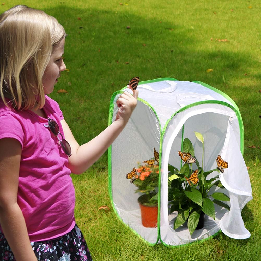 Insect and Butterfly Habitat Cage Terrarium Pop-up 23.6 Inches Tall - Image 2
