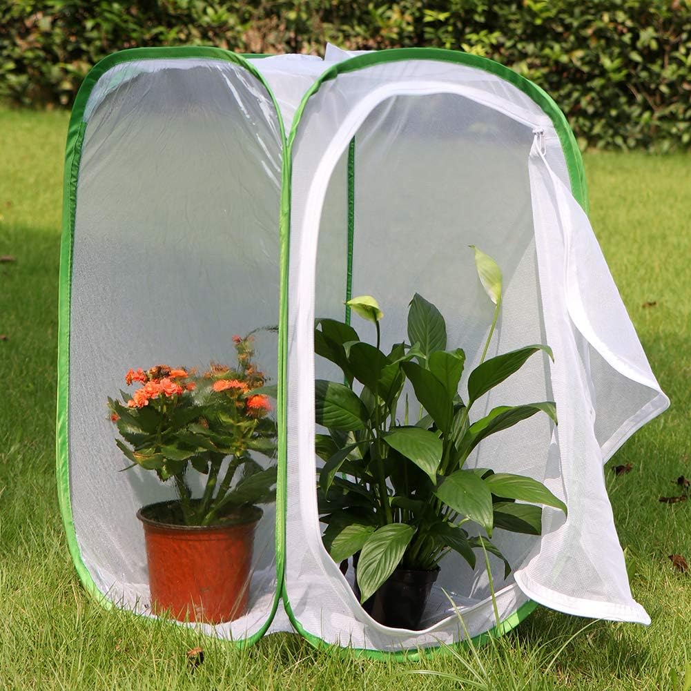 Insect and Butterfly Habitat Cage Terrarium Pop-up 23.6 Inches Tall - Image 3