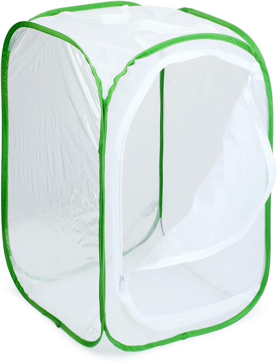 Insect and Butterfly Habitat Cage Terrarium Pop-up 23.6 Inches Tall - Image 4