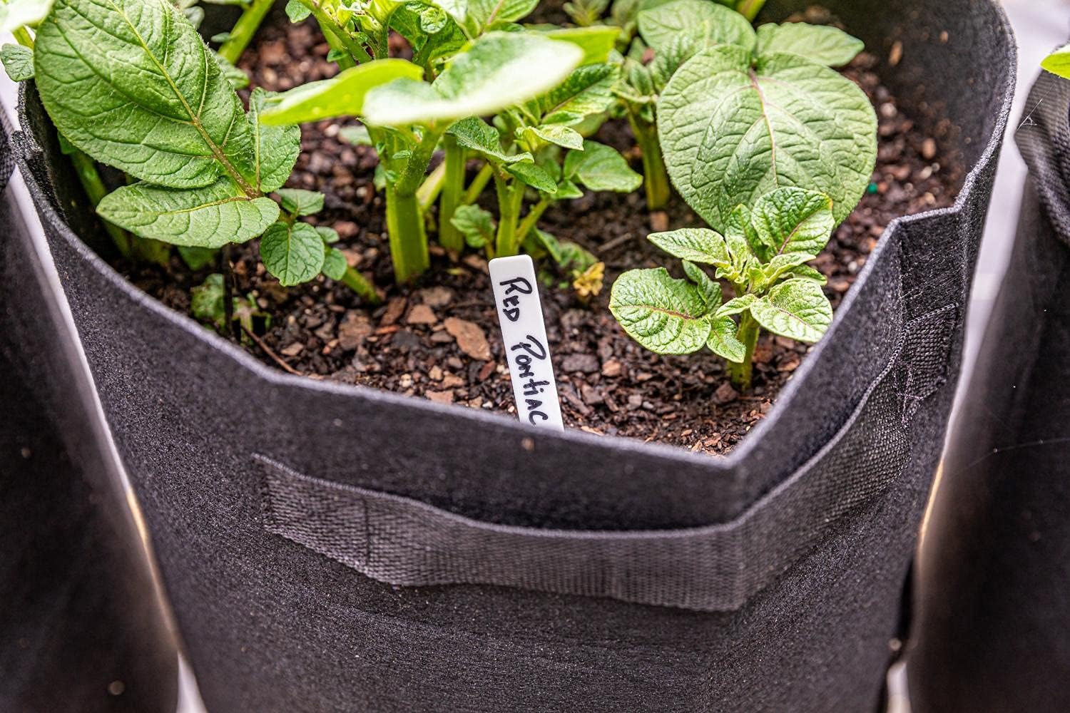 6 Pack BPA-Free 10 Gallon Vegetable Grow Bags with Access Flap and Handles, Suitable for Planting Potato, Taro, Beets, Carrots, Onions, Peanut - Image 7