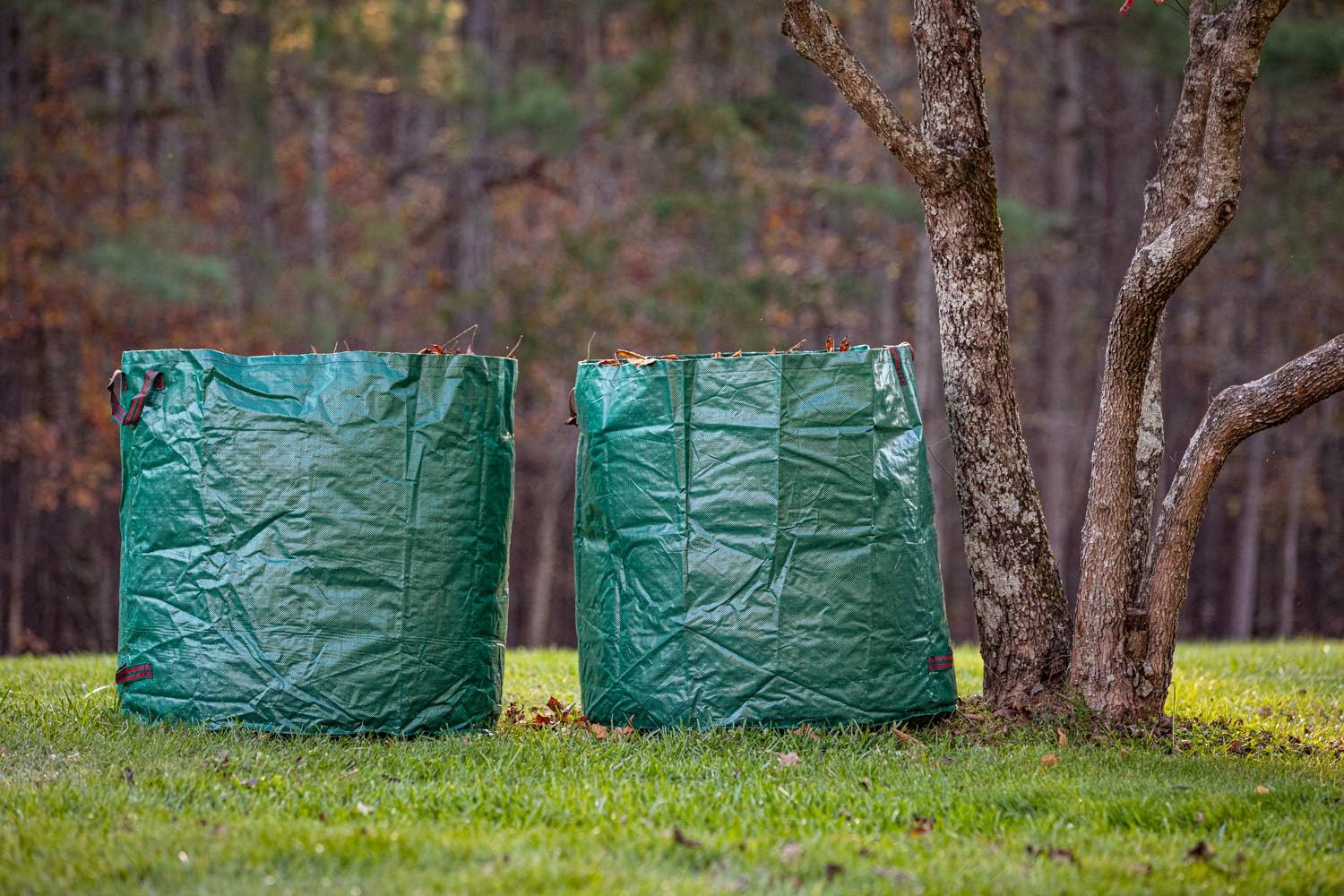 2-Pack 132 Gallon Yard Waste Bags, Reusable Heavy Duty Collapsible Garden Leaf Bags with Plastic Ring, Stand-Up Yard Waste Bin for Leaves, Lawn Debris & Grass Clippings - Image 6