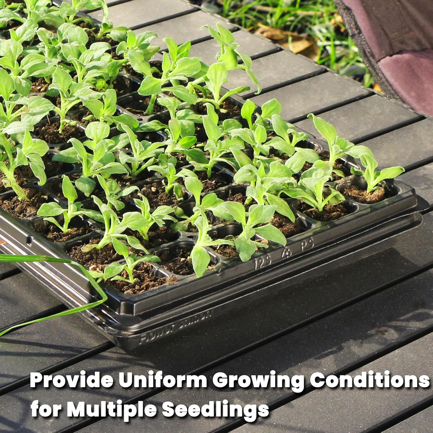 10 Pack 72 Cell Seed Starter Trays, 1.75