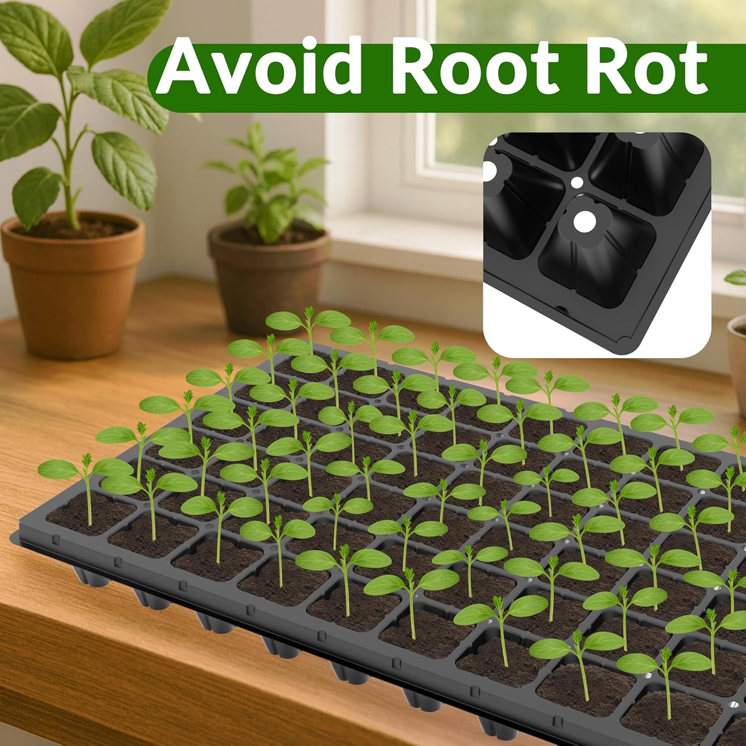 10 Pack 72 Cell Seed Starter Trays, 1.75