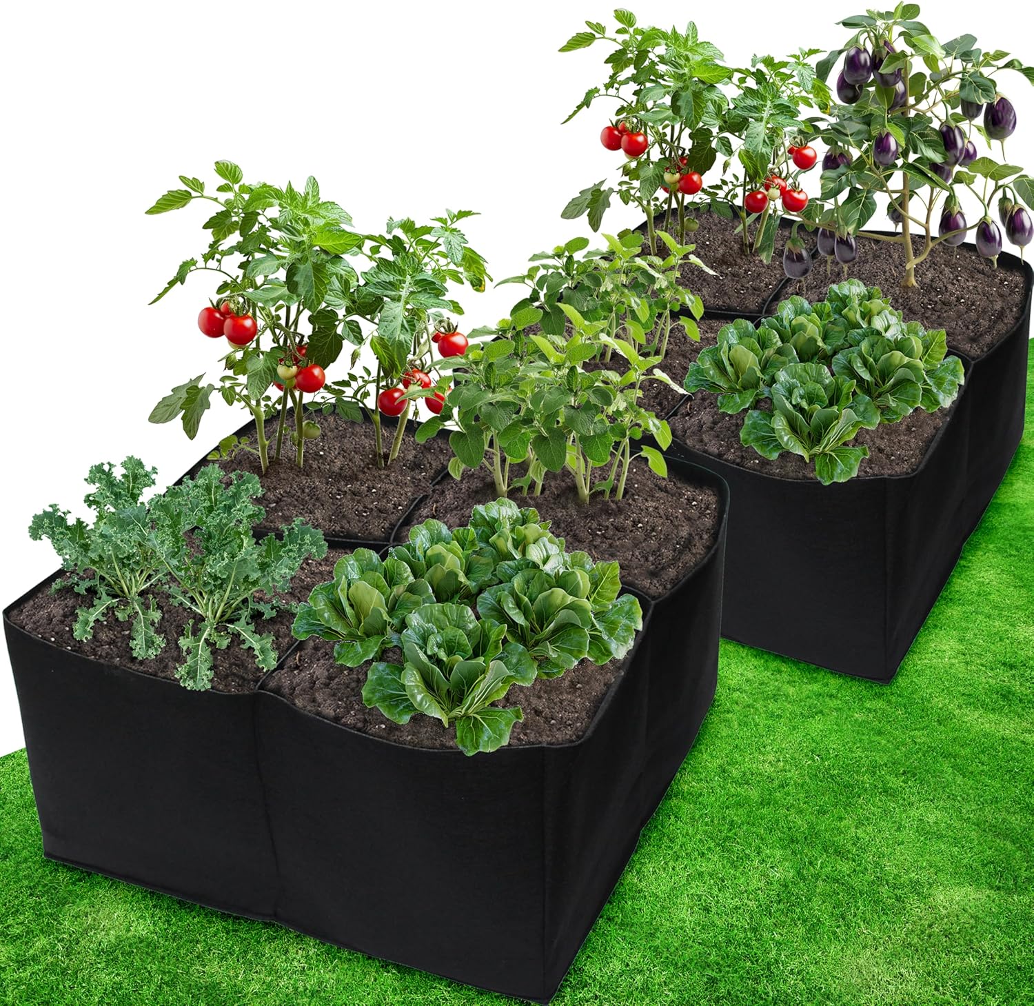 2 Pack Fabric Raised Garden Beds, 2x2x1 FT – 4 Grids Grow Bed for Square Foot Gardening, Planting Box for Vegetables, Herbs, Flowers - Image 1