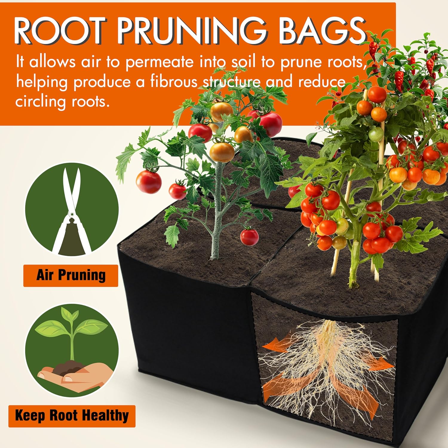 2 Pack Fabric Raised Garden Beds, 2x2x1 FT – 4 Grids Grow Bed for Square Foot Gardening, Planting Box for Vegetables, Herbs, Flowers - Image 4