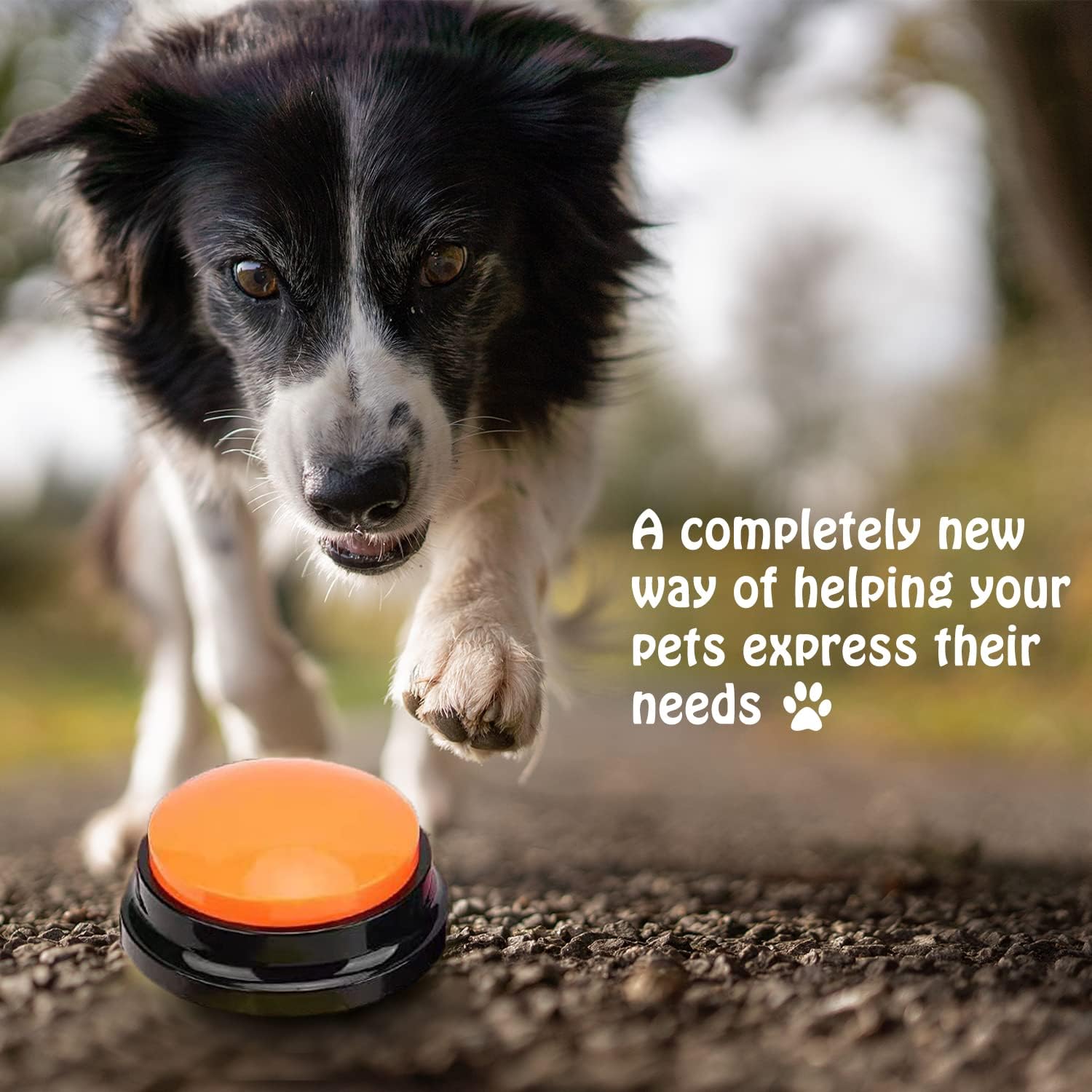 Voice Recording Button for Communication Pet Training Buzzer,30 Second Record&Playback Dog Toy,Voice Recording Clicker for Cat,Puppy,Pet Trainin,Funny Gift for Study Office Home 8Pcs - Image 7