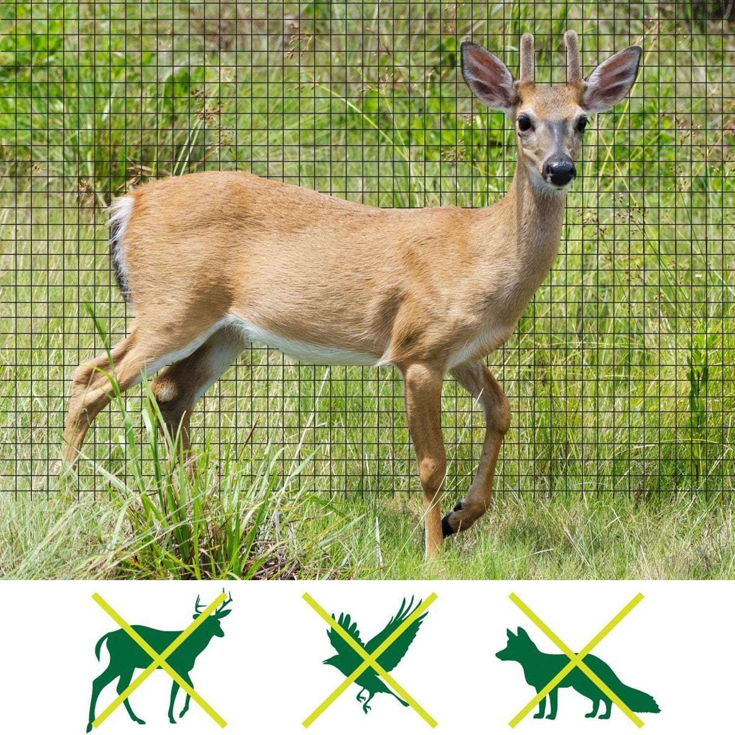 Deer Fence Netting, 7 x 100 Feet Anti Bird Deer Protection Net Reusable Protective Garden Netting for Plants Fruit Trees Vegetables Against Birds and Other Animals - Image 2