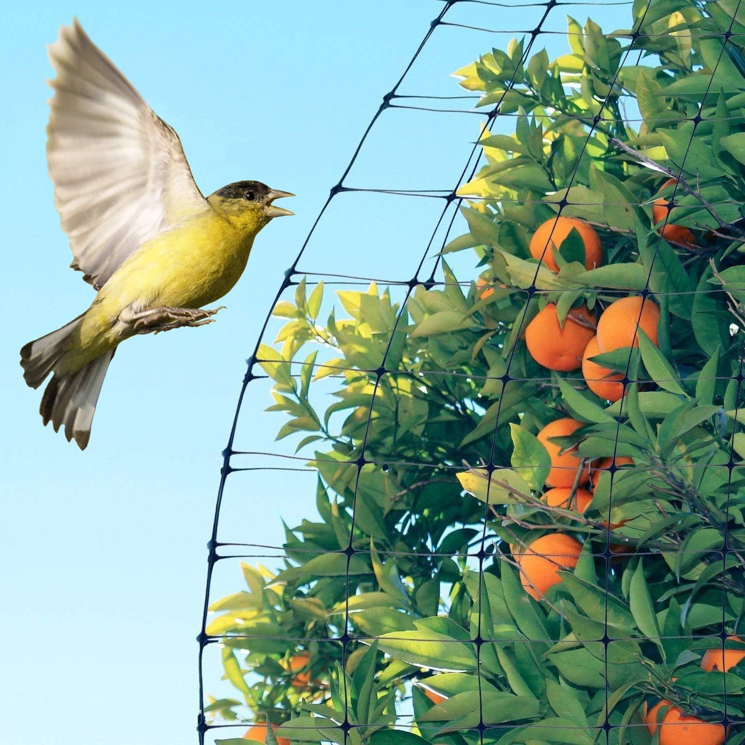 Deer Fence Netting, 7 x 100 Feet Anti Bird Deer Protection Net Reusable Protective Garden Netting for Plants Fruit Trees Vegetables Against Birds and Other Animals - Image 3