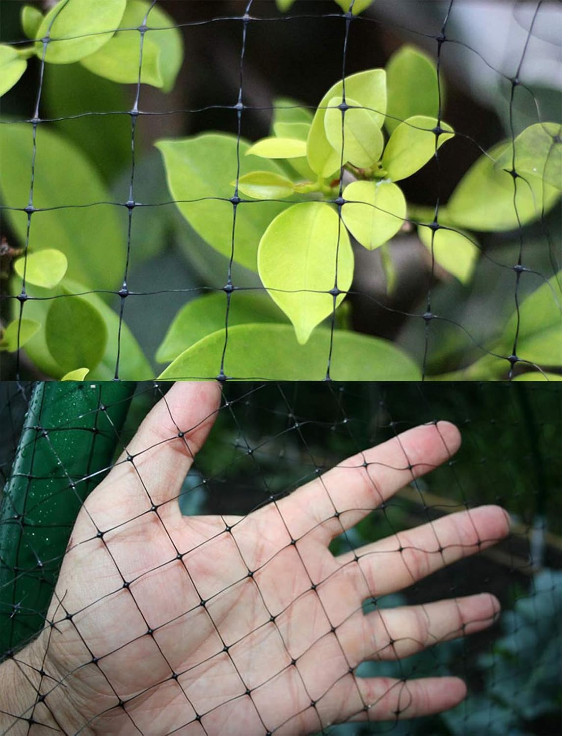 Deer Fence Netting, 7 x 100 Feet Anti Bird Deer Protection Net Reusable Protective Garden Netting for Plants Fruit Trees Vegetables Against Birds and Other Animals - Image 5