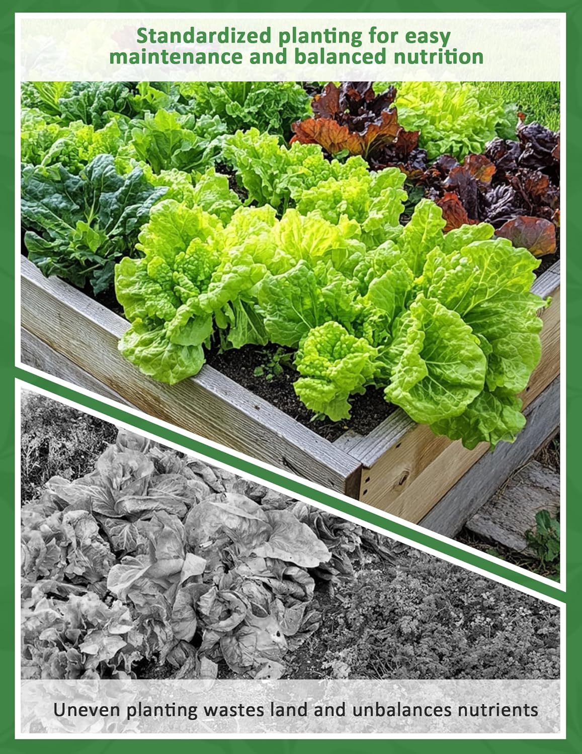 Seed Spacer Tool for Square Foot Gardens - Maximize Your Garden Space and minimize Weeds with This Premium Garden Tool - Image 6