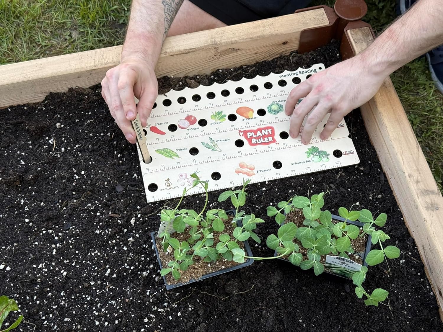 Plant Ruler by  – Wooden Seed Spacing Tool for Vegetable Gardens – Garden Planting Guide for Precise Row Planting in Raised Beds & In-Ground Soil - Image 2