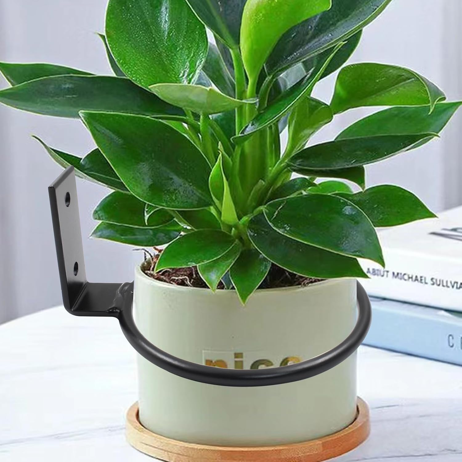 6pcs 6 Inch Wall Flower Pot Holder Ring, 15cm Black Wall Plant Stand Hanger Holder Hook Bracket for Indoor Outdoor Garden Planter - Image 4