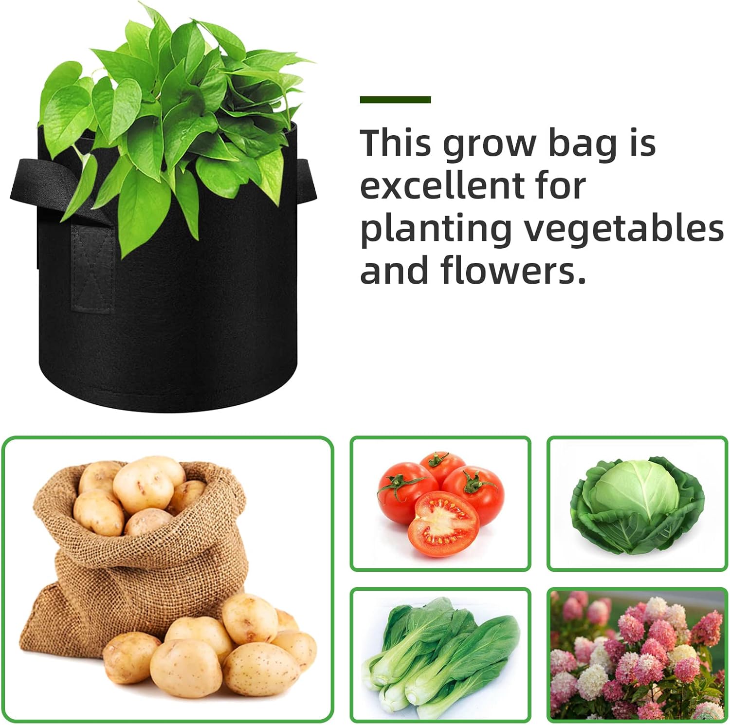 12-Pack 10 Gallon Plant Grow Bags, Thickened Nonwoven Fabric Pots with Handles, Vegetable Planter Bags Containers, Cloth Planters for Garden - Image 5