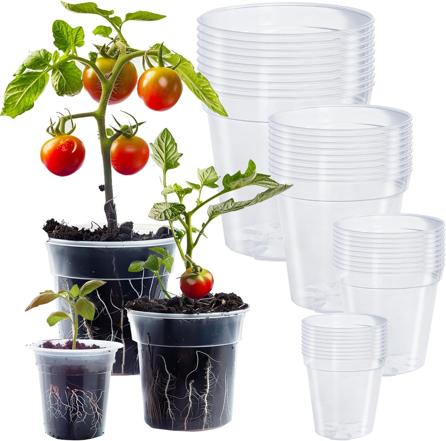 36 Pack 4/5/6/7 Inch Clear Nursery Pots for Plants, Plant Pots with Drainage Holes, Transparent Seedling Pots for Seed Starters Planter Flower - Image 1