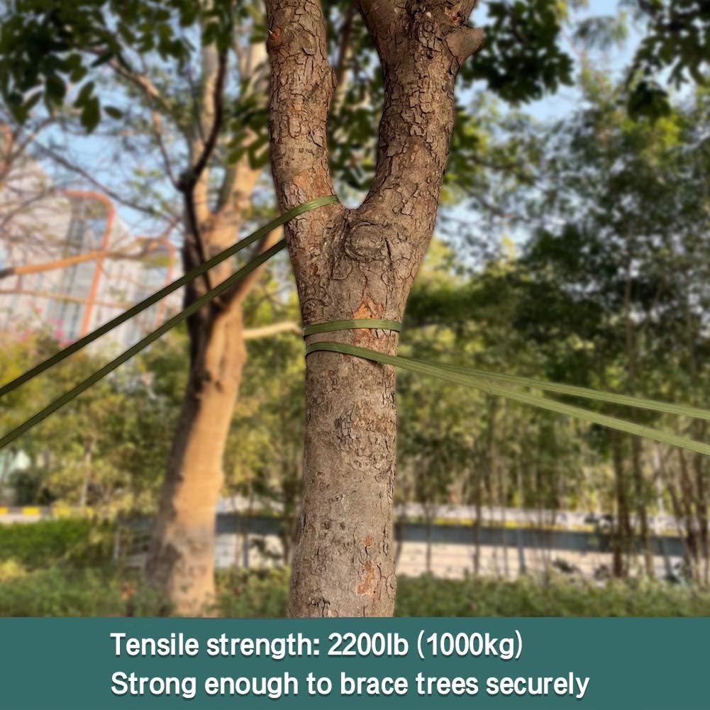 Tree Support Strap, 65 Feet x 1 inch Tree Straps for Staking, Nylon Plant Tie Rope for Support, Straightening (2200 Lbs Strength, Green) - Image 4