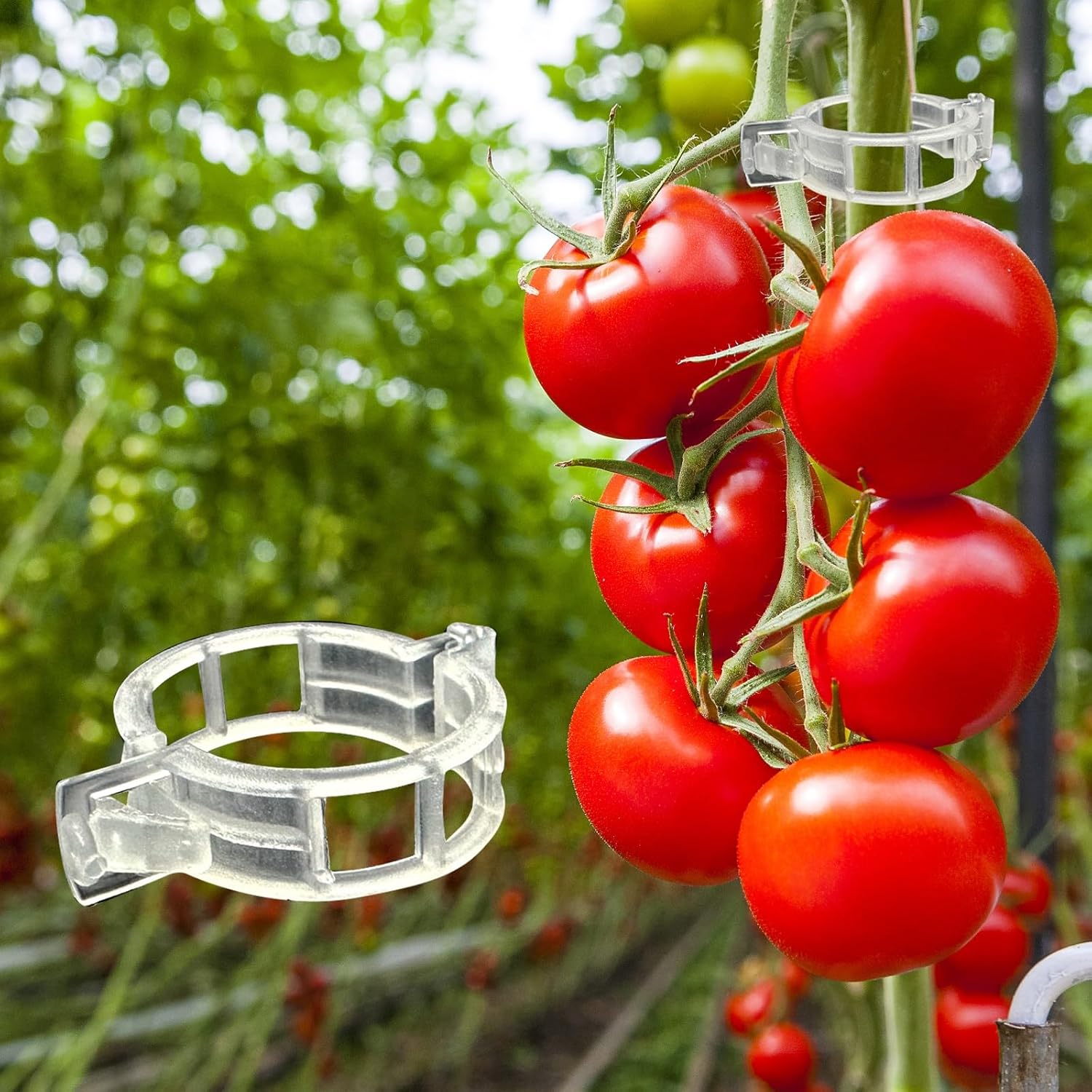 ® 300Pcs Tomato Clips, Plastic Trellis Clips Plant Support Clips, Plant Clips for Support, Grape Vine, Tomato Vine, Vegetables Plants, Garden Clips to Grow Upright Makes Plants Healthier - Image 1