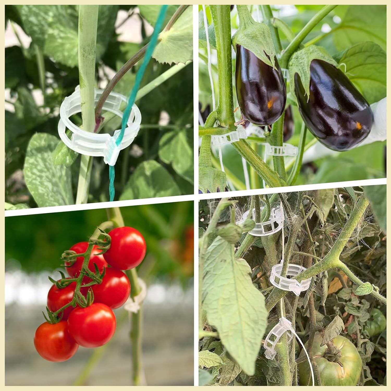 ® 300Pcs Tomato Clips, Plastic Trellis Clips Plant Support Clips, Plant Clips for Support, Grape Vine, Tomato Vine, Vegetables Plants, Garden Clips to Grow Upright Makes Plants Healthier - Image 6