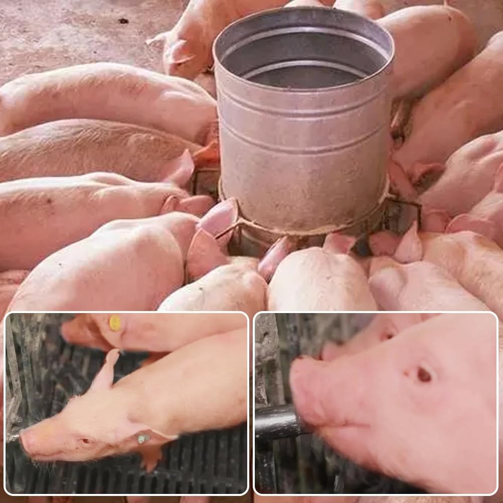 5PCS 1/2 Stainless Steel Automatic Pig Nipple Water Drinker Feeder Waterer + 5PCS 1/2 Female to 3/4 Male Brass Water Tank Connector Bulkhead Fitting Kit for Sows Piglets Drinking - Image 5