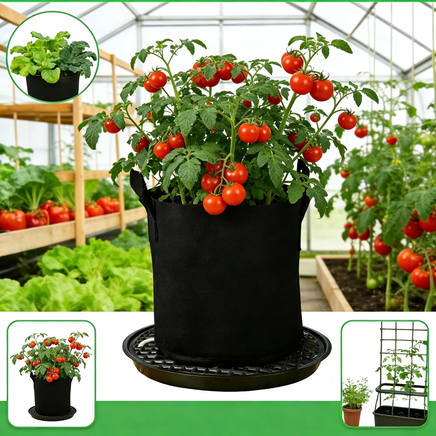 6 Pack 12 inch Self Watering Base for Fabric Grow Bag, Self-watering Plastic Elevated Plant Saucer Stand, Automatic Watering Tray for Non-woven Planter Flower Pot Growth Tent Greenhouse Indoor Outdoor - Image 4