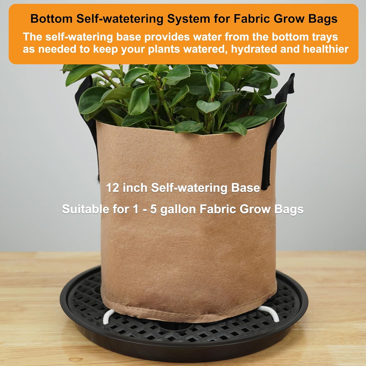 6 Pack 12 inch Self Watering Base for Fabric Grow Bag, Self-watering Plastic Elevated Plant Saucer Stand, Automatic Watering Tray for Non-woven Planter Flower Pot Growth Tent Greenhouse Indoor Outdoor - Image 7