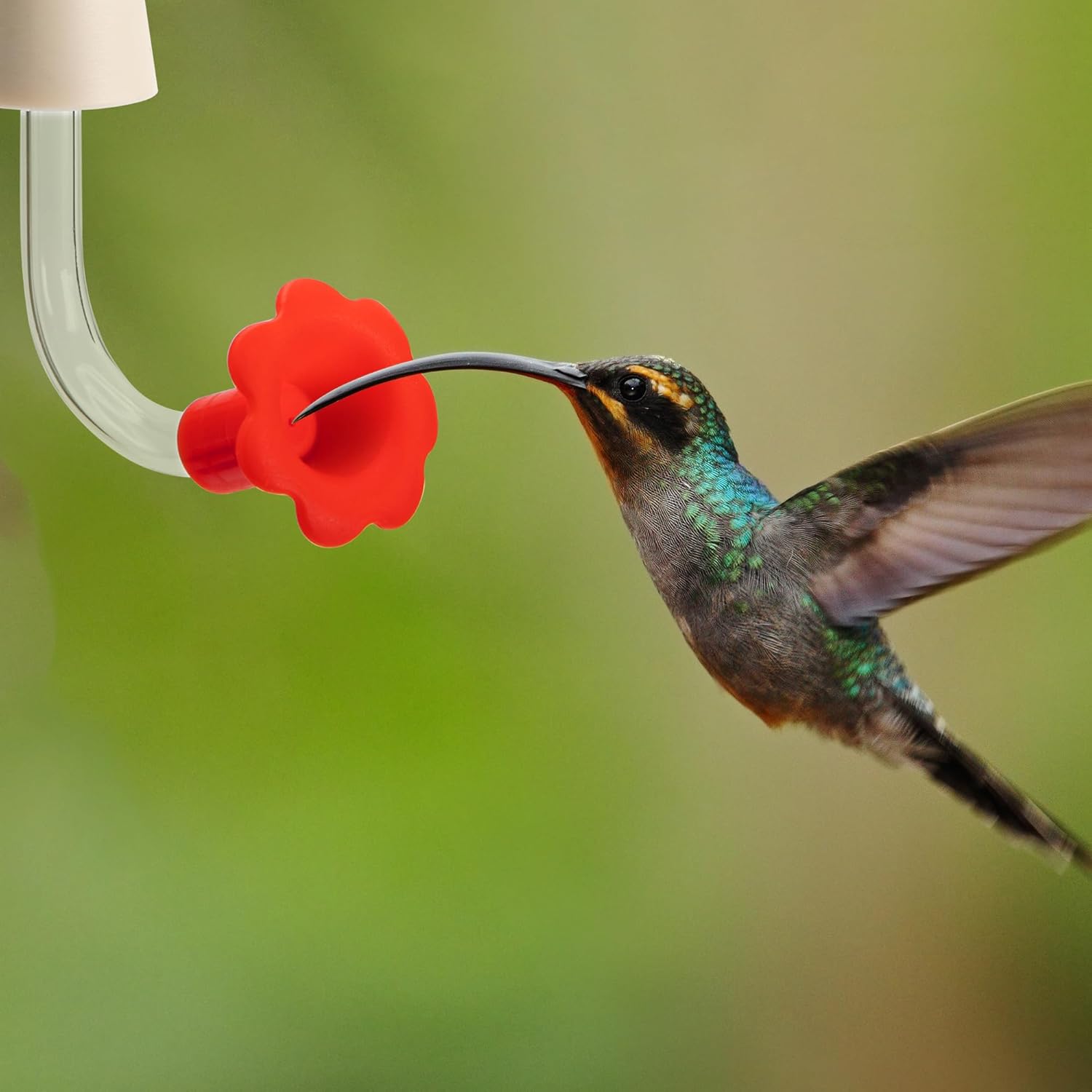 9 Pcs Hummingbird Feeder Tubes with Red Floral Tip, Bird Hummingbird Feeder Replacement Parts with 3 Brush, Outside Flower Bird Water Feeder Tubes Stoppers for Making Your Own Bird Feeders - Image 7