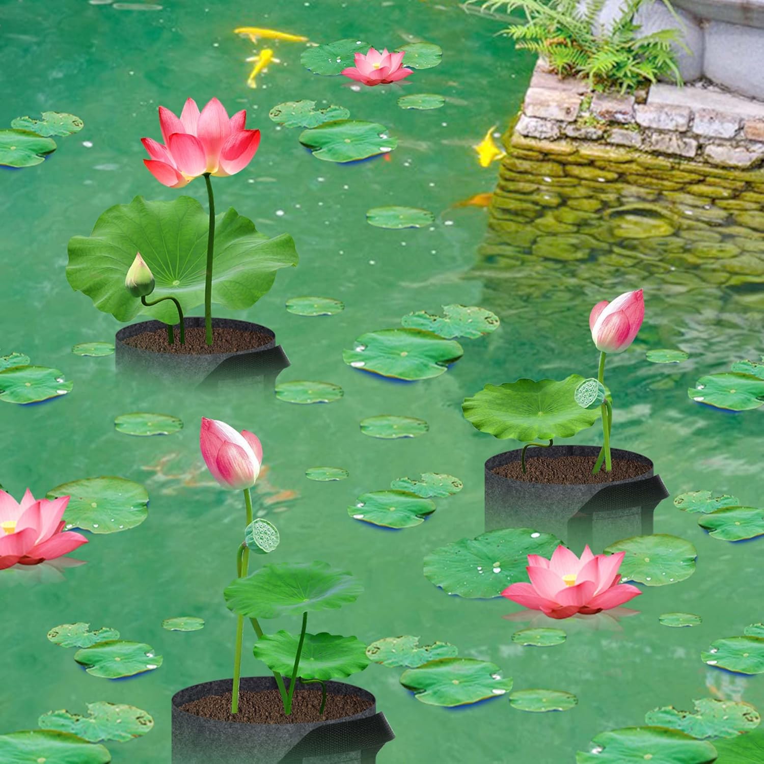 12 Pack Aquatic Plant Pots for Pond, Reusable Fabric Aquatic Plant Pots, Breathable Pond Plant Basket Grow Bags with Handles for Aquatic Plants, Bog Plant, Water Lily, Lotus, Flower (1 Gallon) - Image 6