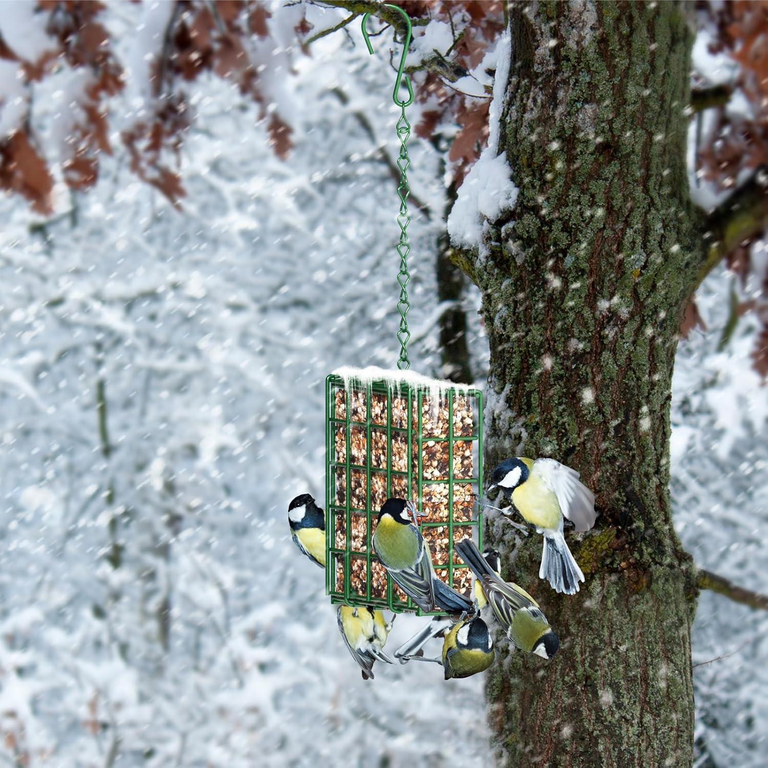 Hanging Bird Feeder, Suet Feeder Hanging Bird Feeder Hanging for Garden Yard Outside Hanging Bird Feeder Tray - Image 4