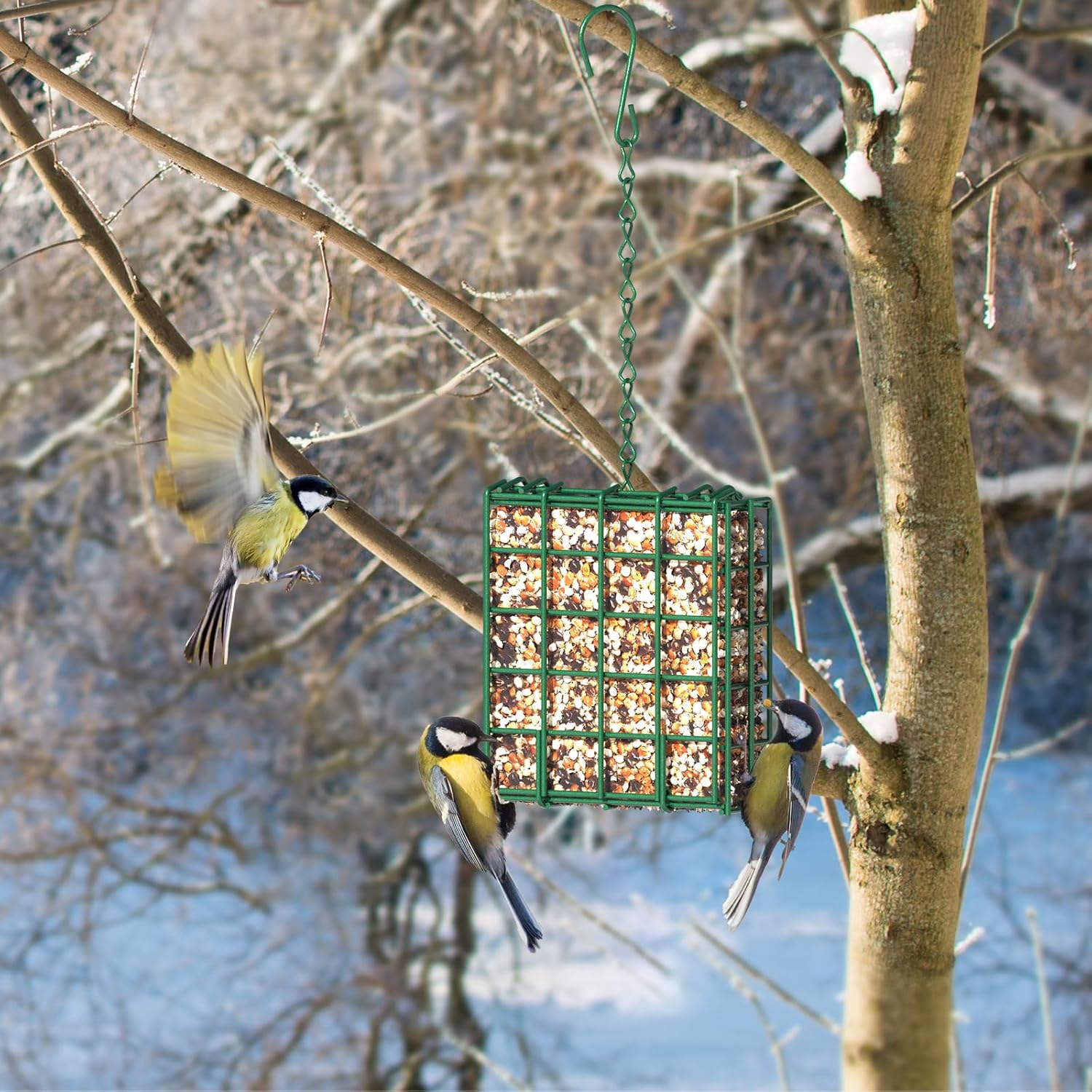 Hanging Bird Feeder, Suet Feeder Hanging Bird Feeder Hanging for Garden Yard Outside Hanging Bird Feeder Tray - Image 6
